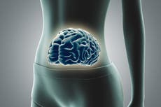 Faecal transplants ‘could reverse cognitive decline’, study suggests