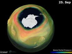 Climate change: Ozone hole over Antarctic ‘largest and deepest’ in recent years, scientists warn