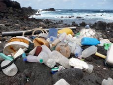 Canada to ban plastic bags, other single-use products by end of 2021