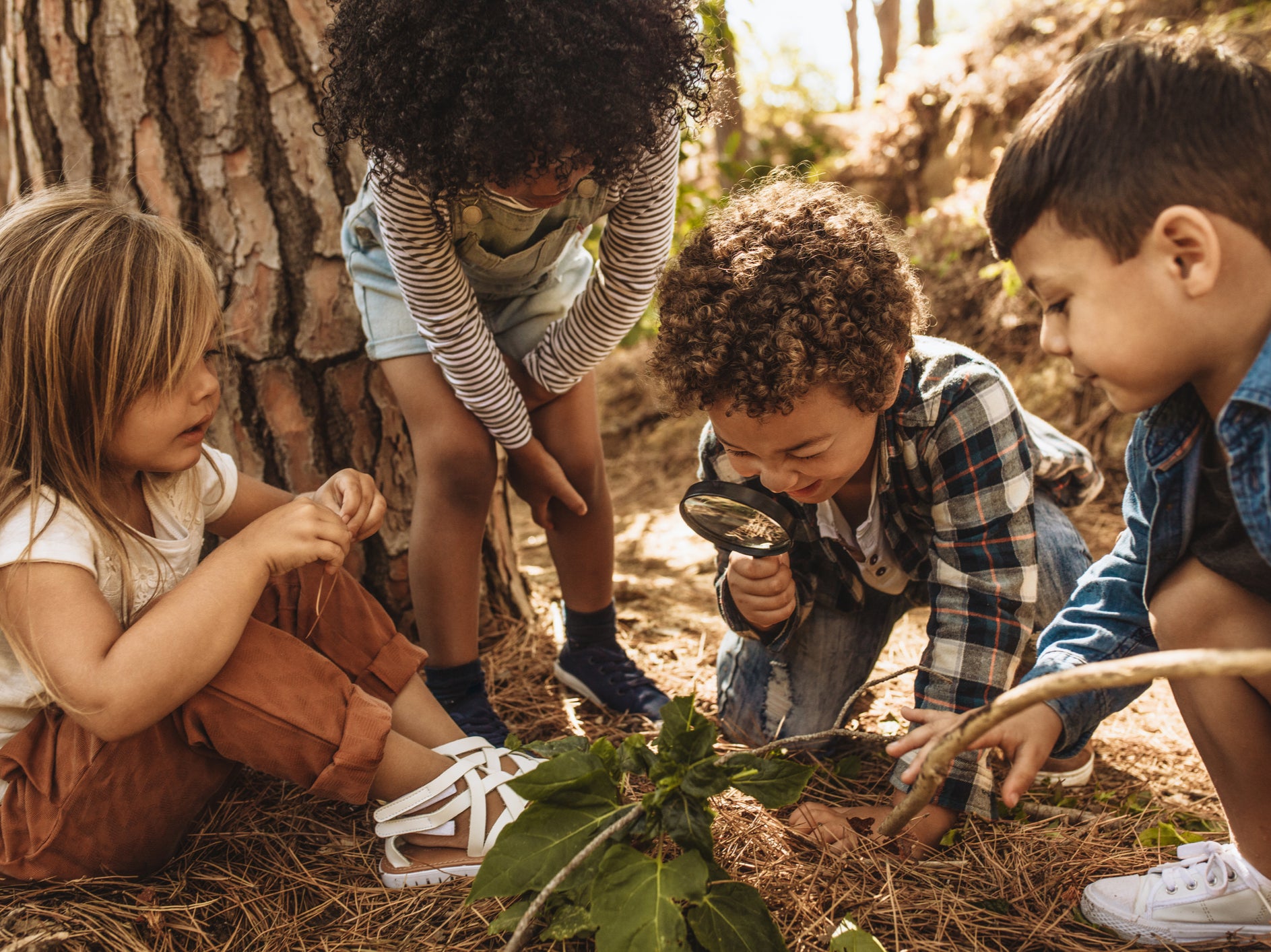 Research indicates more time spent outdoors in natural environments improves children’s health, behaviour, and educational attainment, and benefits teachers too