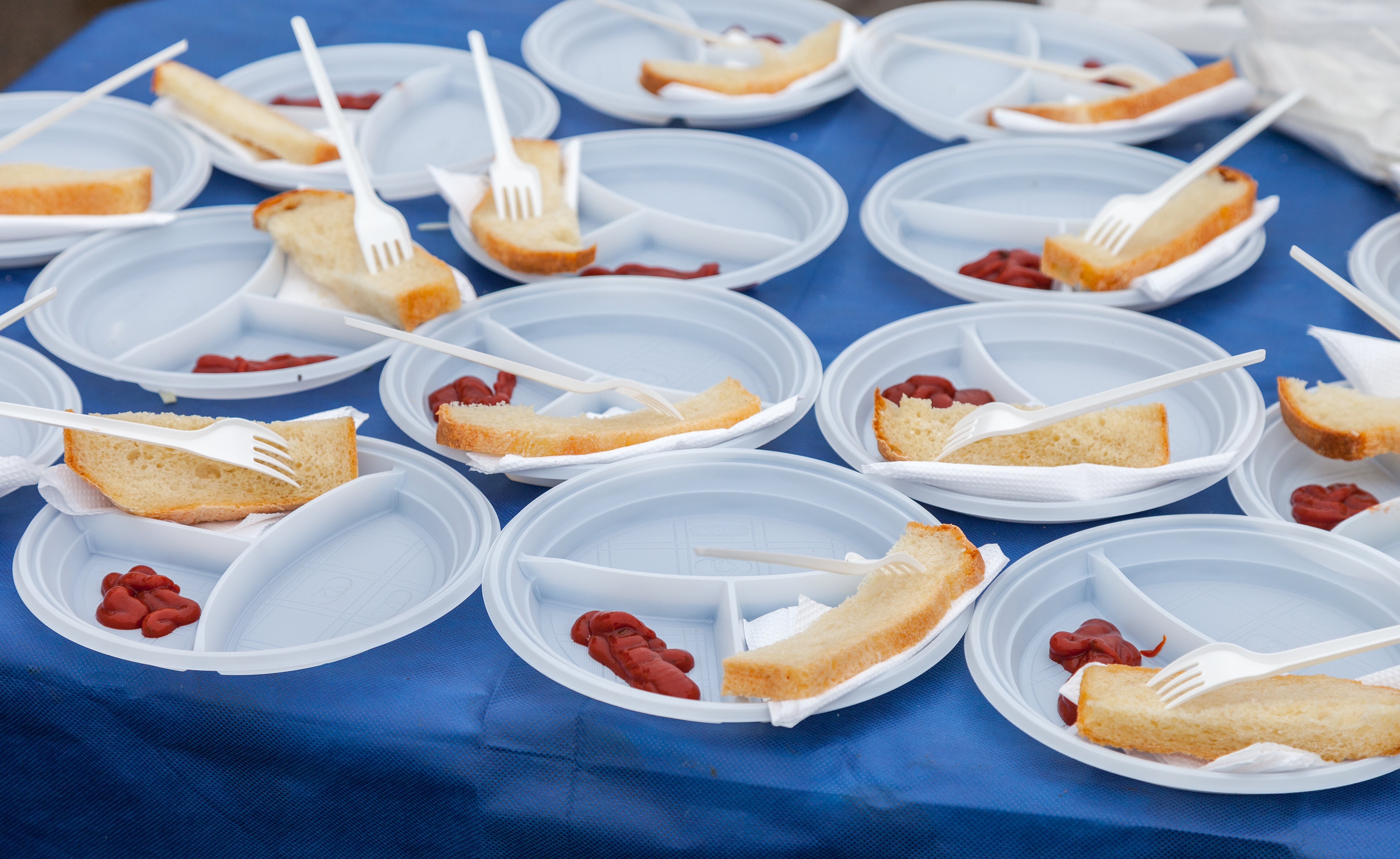 Supplying single-use plastic plates and forks would become illegal under the plan