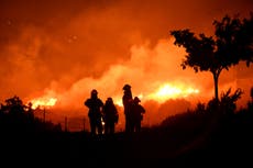 Bobcat fire may have started after tree branches hit power equipment