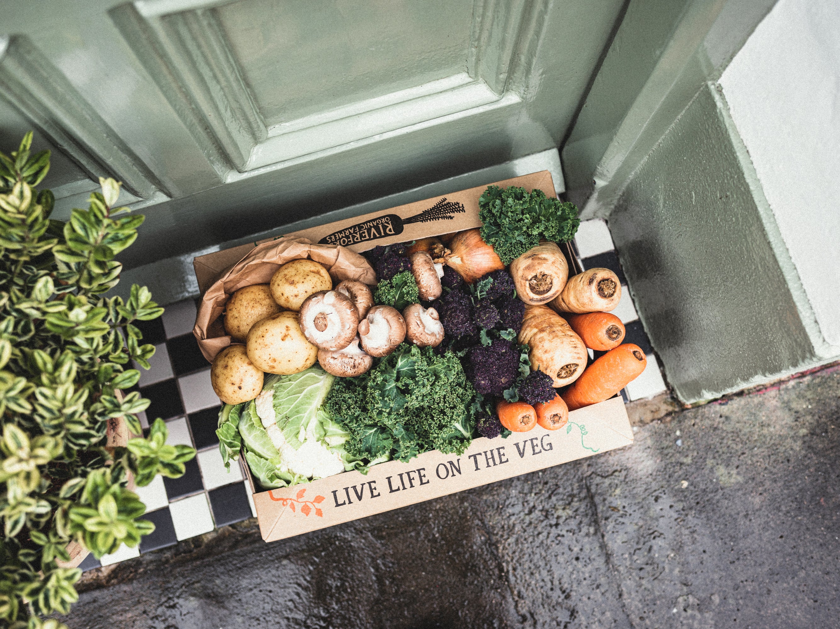 Sales of vegetable boxes have soared during lockdown