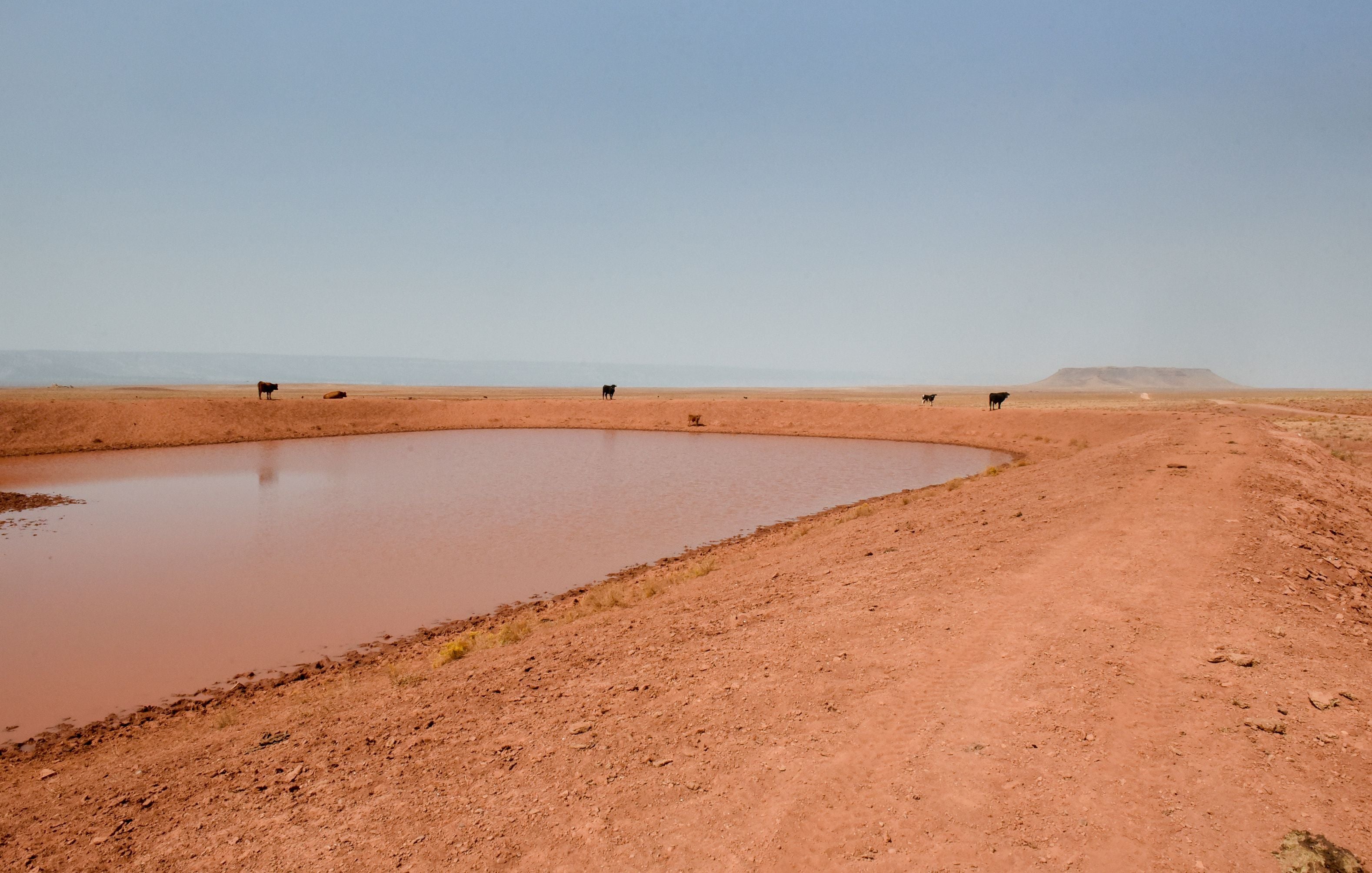 A livestock watering hole, built to contain the rain