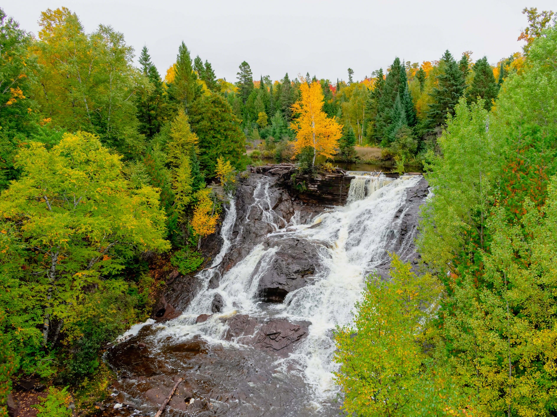 ‘Reviving forests is critical for mitigating global warming and protecting biodiversity, but other ecosystems also have a massive role to play,’ scientists say