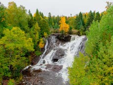 Rewilding 30 per cent of land ‘would absorb half of CO2 emissions’