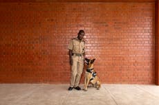 The detection dogs sniffing out wildlife crime