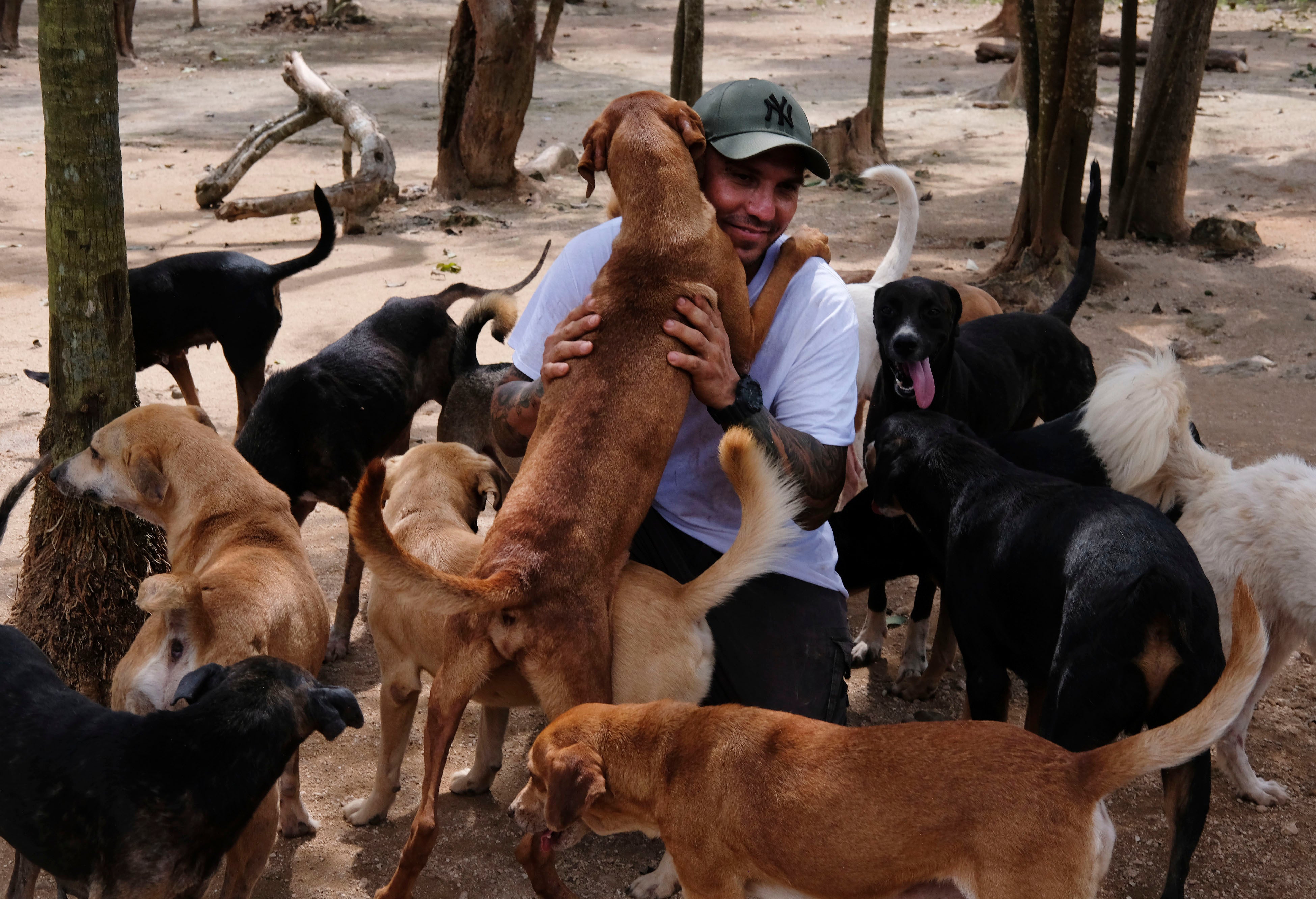 Man shelters 300 dogs from Hurricane Delta in Mexico home
