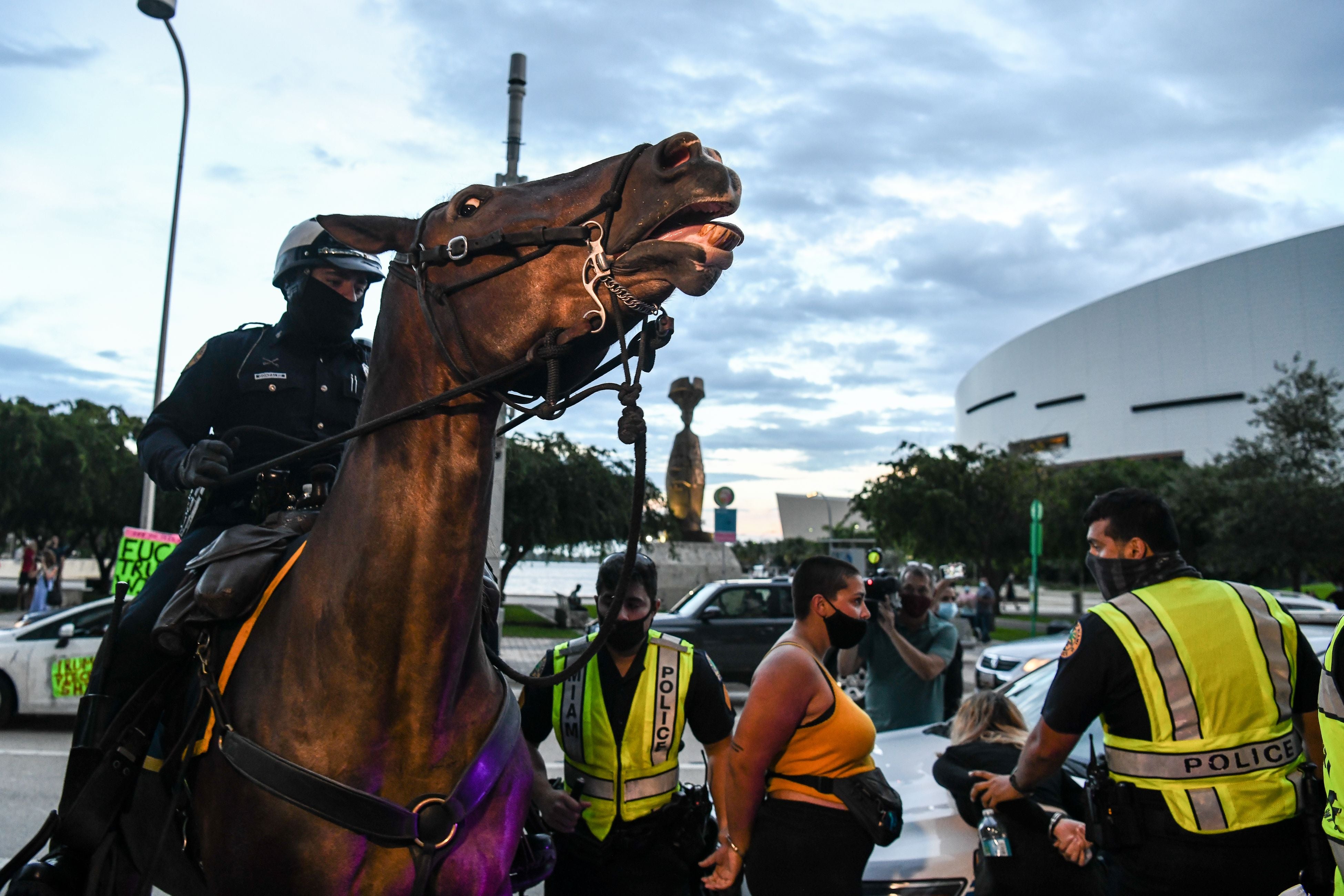 Police arrest supporters of Democratic presidential nominee and former Vice President Joe Biden prior of US President Donald Trump NBC News town hall event at the Perez Art Museum in Miami on October 15, 2020. (Photo by CHANDAN KHANNA / AFP) (Photo by CHANDAN KHANNA/AFP via Getty Images)