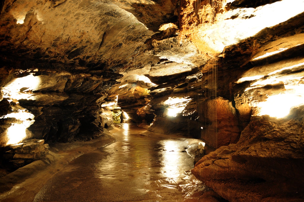 Dan yr Ogof Showcaves has been caught in the lockdown confusion