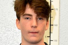 Neo-Nazi teenager admits encouraging terror attacks