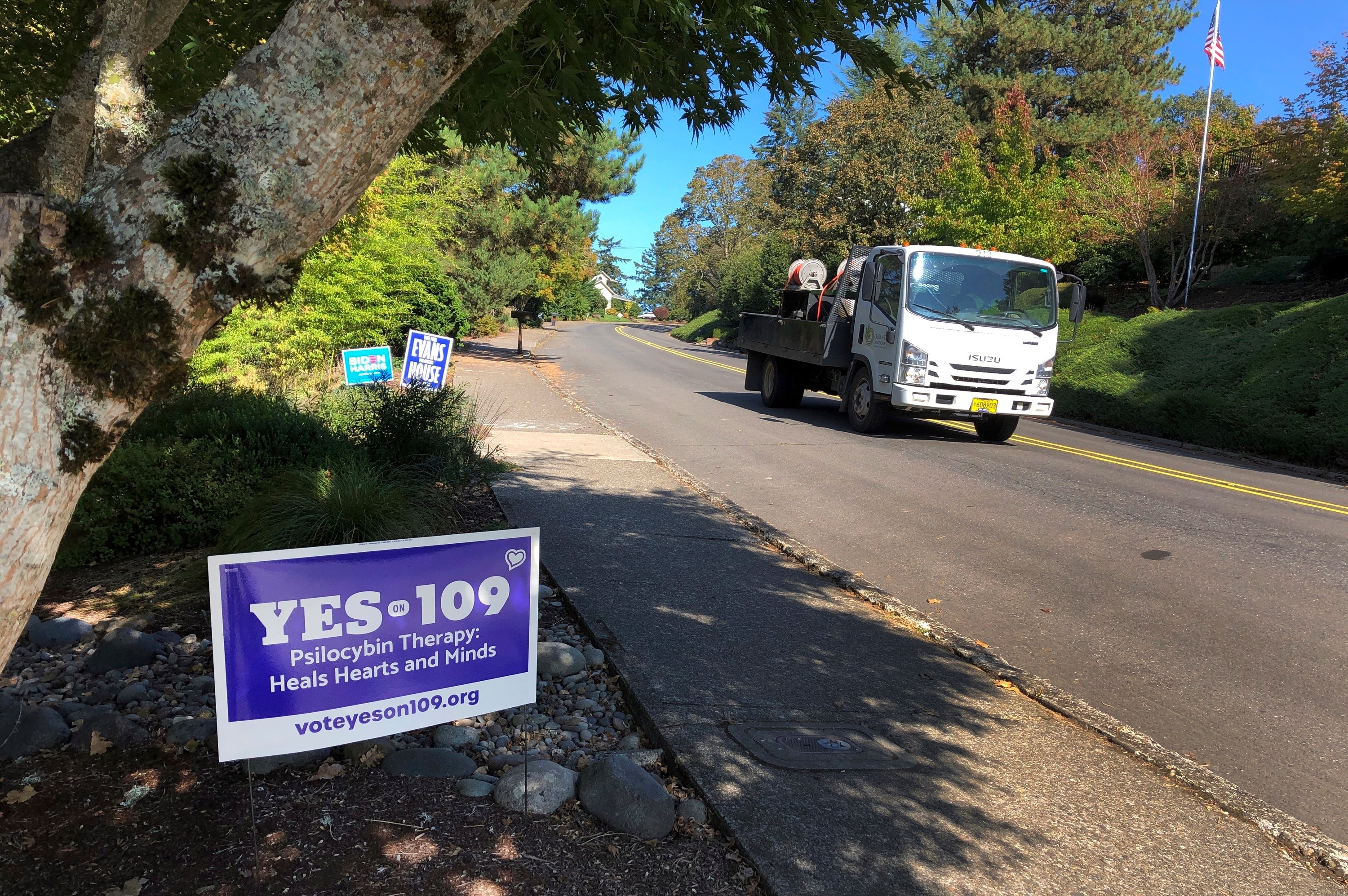 Election-2020-Oregon-Drugs