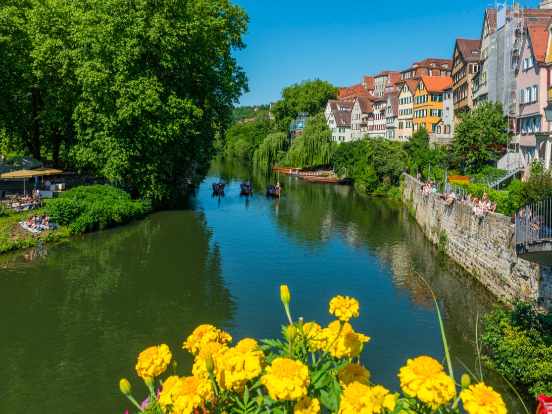 View over Neckar River