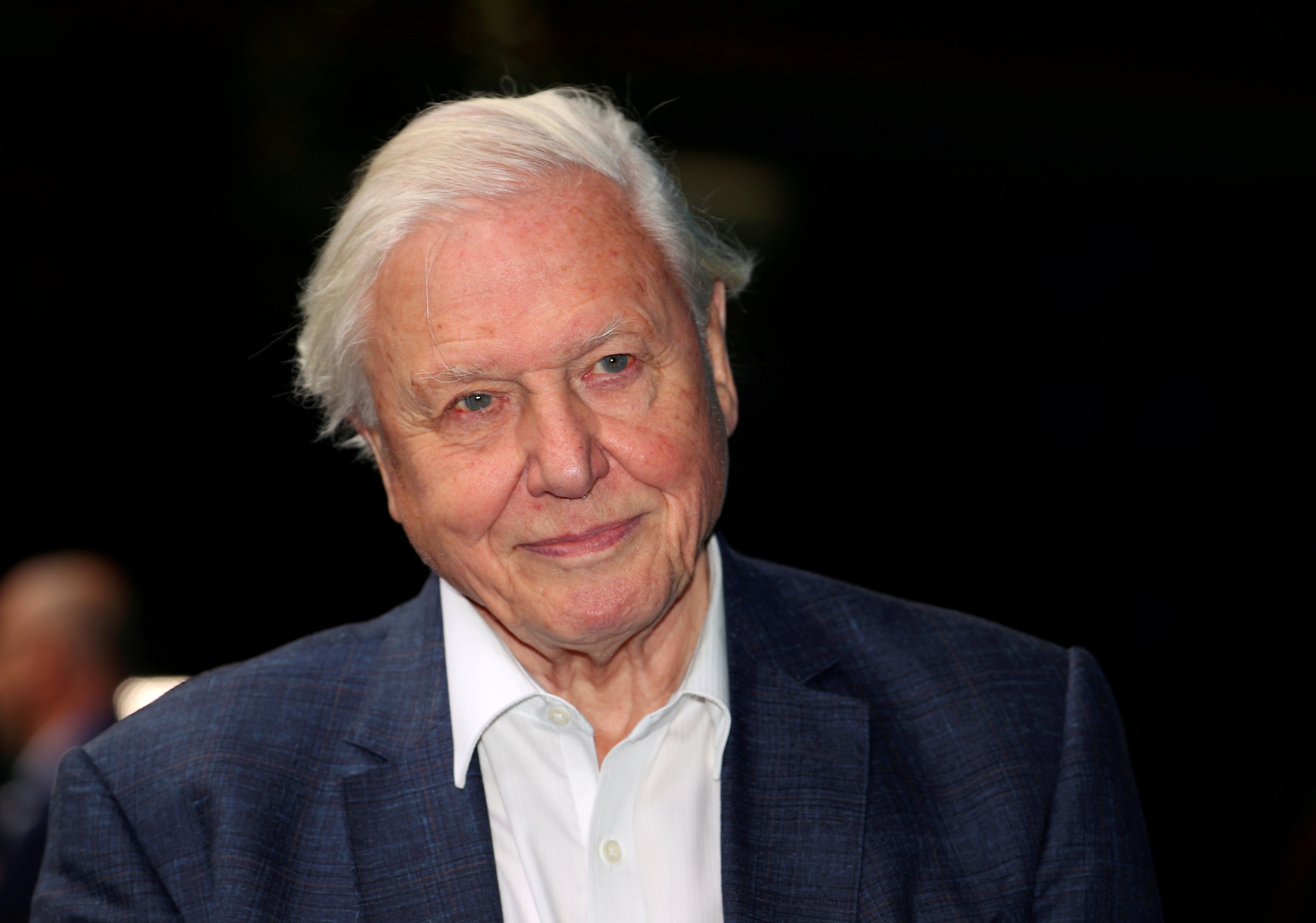 Back to nature: Sir David Attenborough