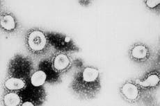 Coronavirus vaccine provides ‘strong’ immune response, analysis finds