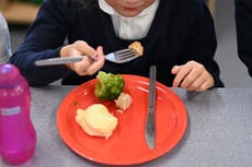 Marcus Rashford urges MPs to back new plan to stop child food poverty