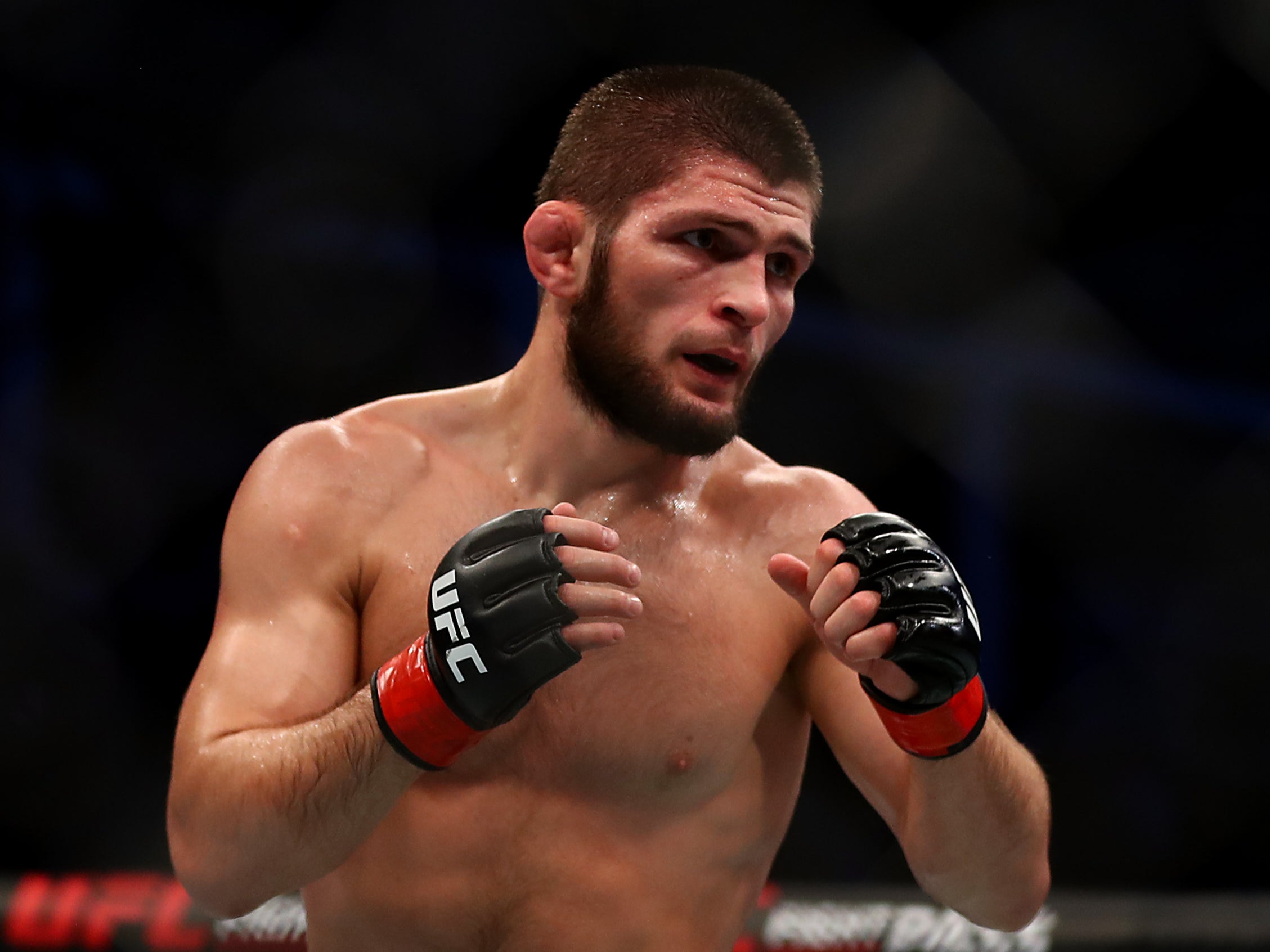 Undefeated UFC lightweight champion Khabib Nurmagomedov