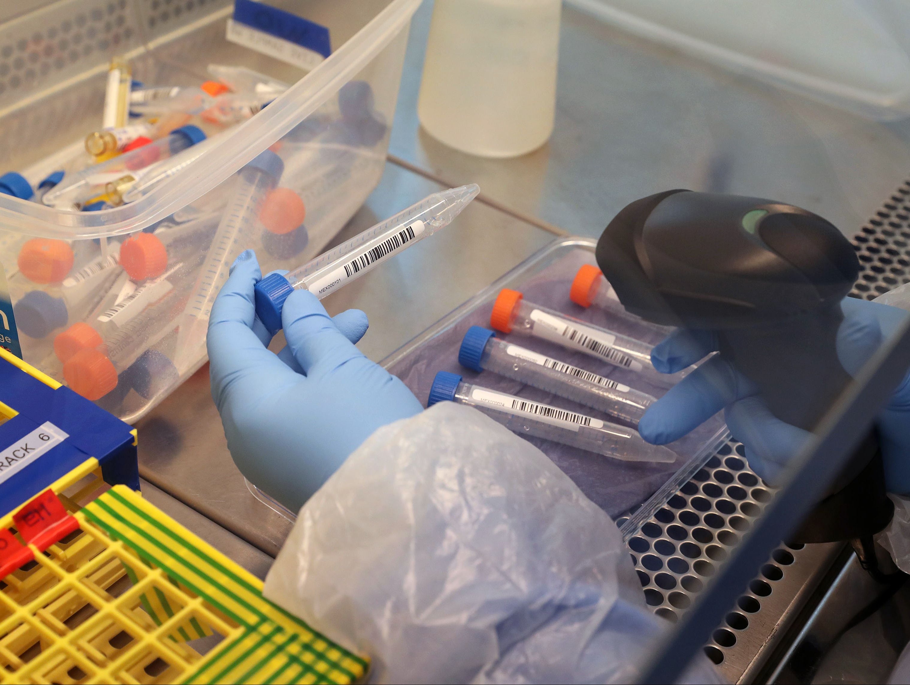  Boots to launch 12-minute Covid tests costing £120