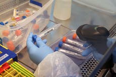 Boots to launch 12-minute Covid tests costing £120