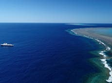 Coral reef taller than Empire State building found in Australia