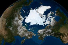 Arctic sea ice fails to freeze at latest date on record