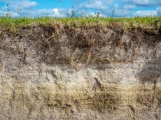 Warming of 2C ‘would release billions of tonnes of carbon from soil’