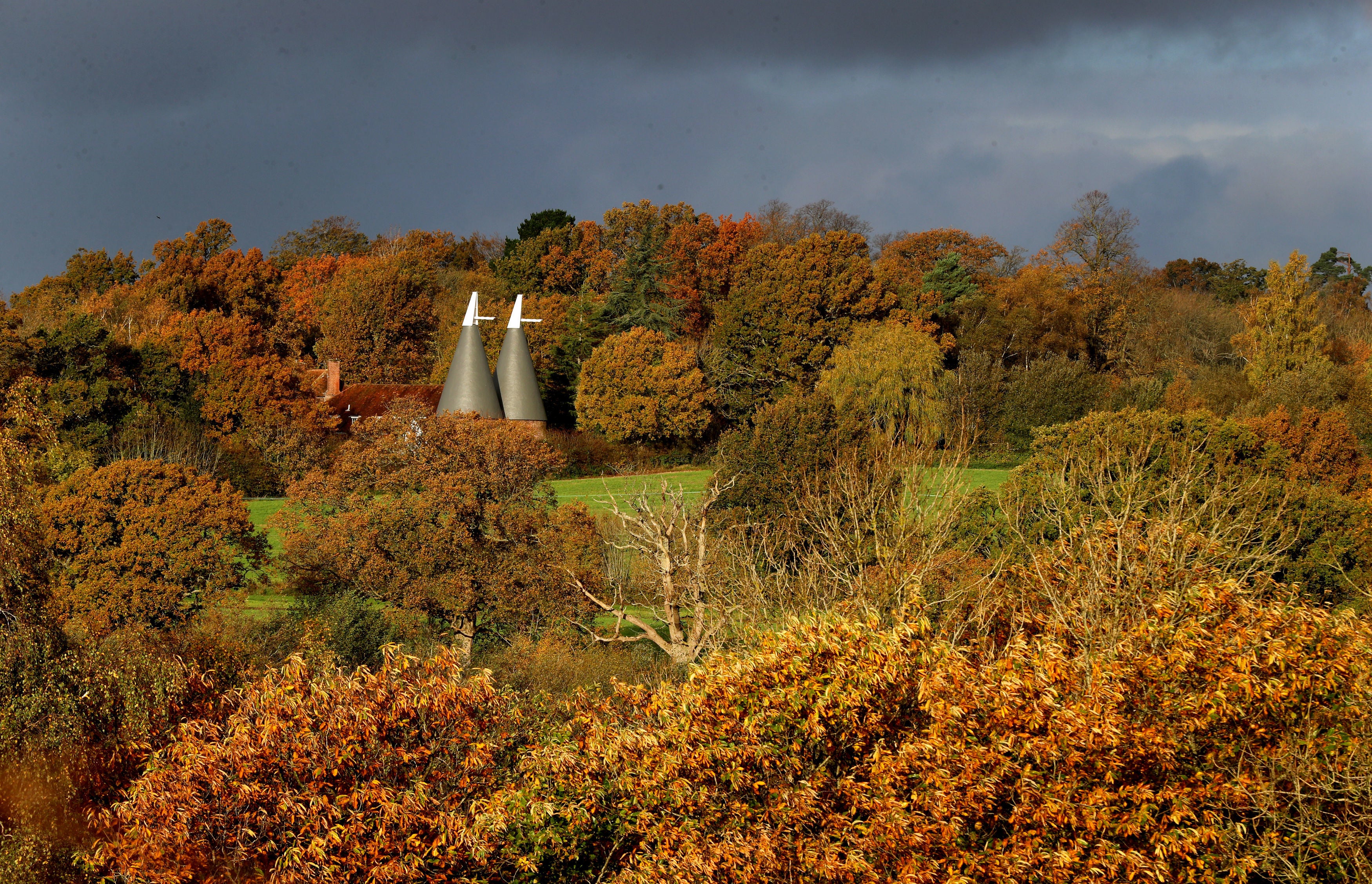 An oast house surrounded by autumn colours in the morning sunshine near Hawkhurst in Kent