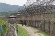 Presidential candidate pledges to reopen part of Korean Demilitarized Zone for tourists
