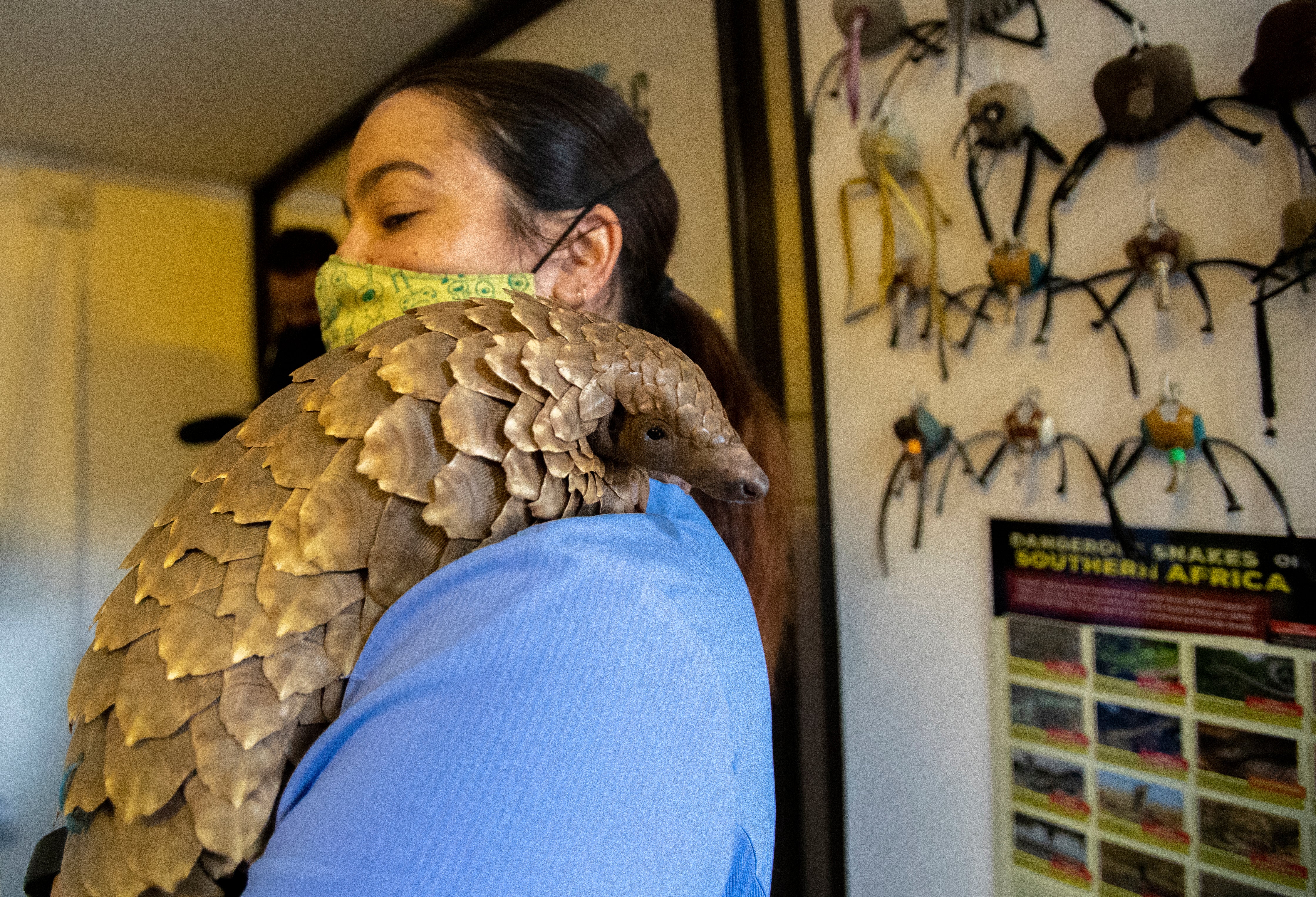 South Africa One Good Thing-Pangolin Clinic