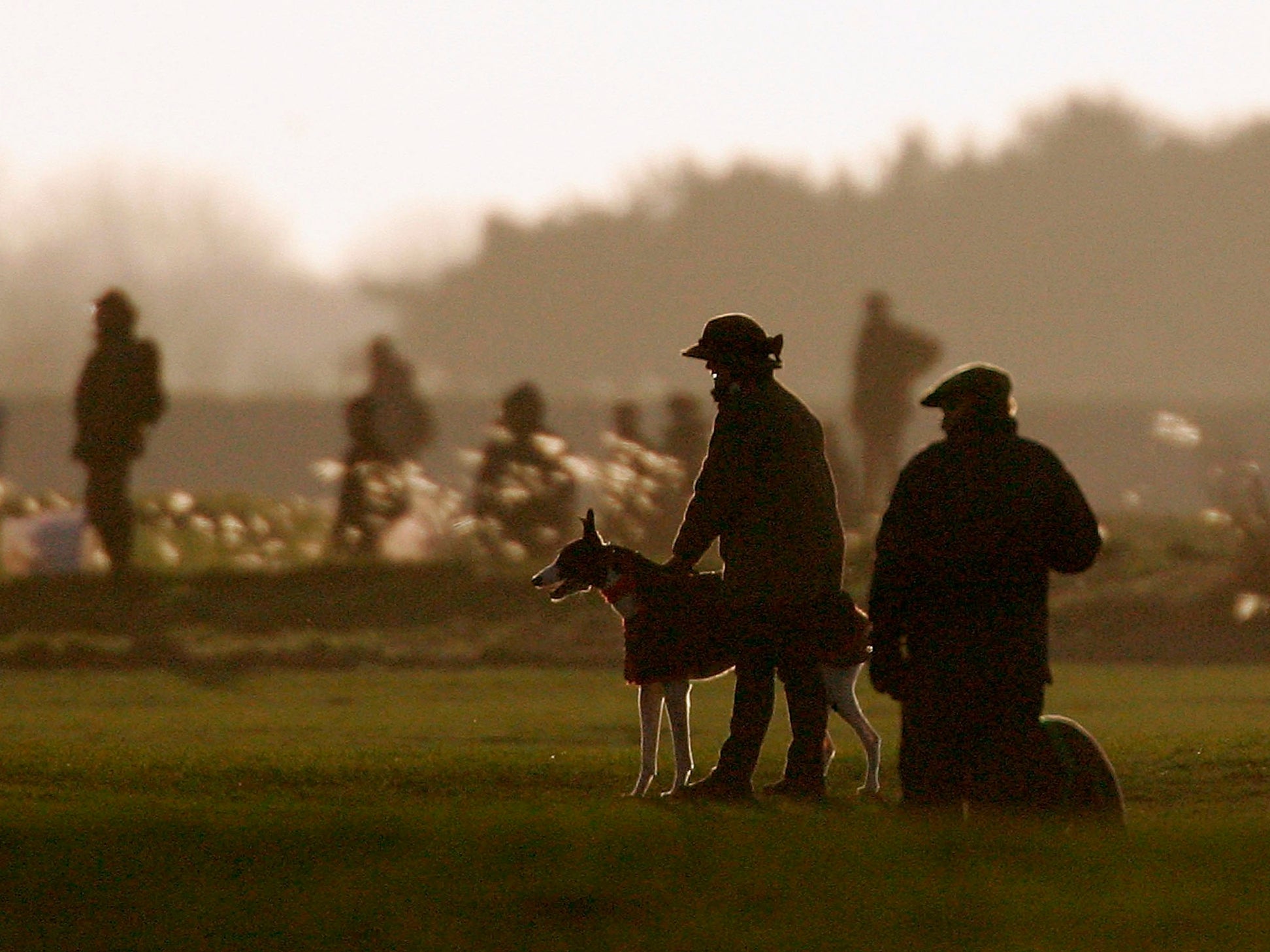 Wildlife crime underworld ‘rampant, with shockingly low convictions’