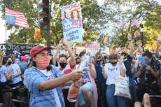 Jubilant Biden supporters start a party outside the White House