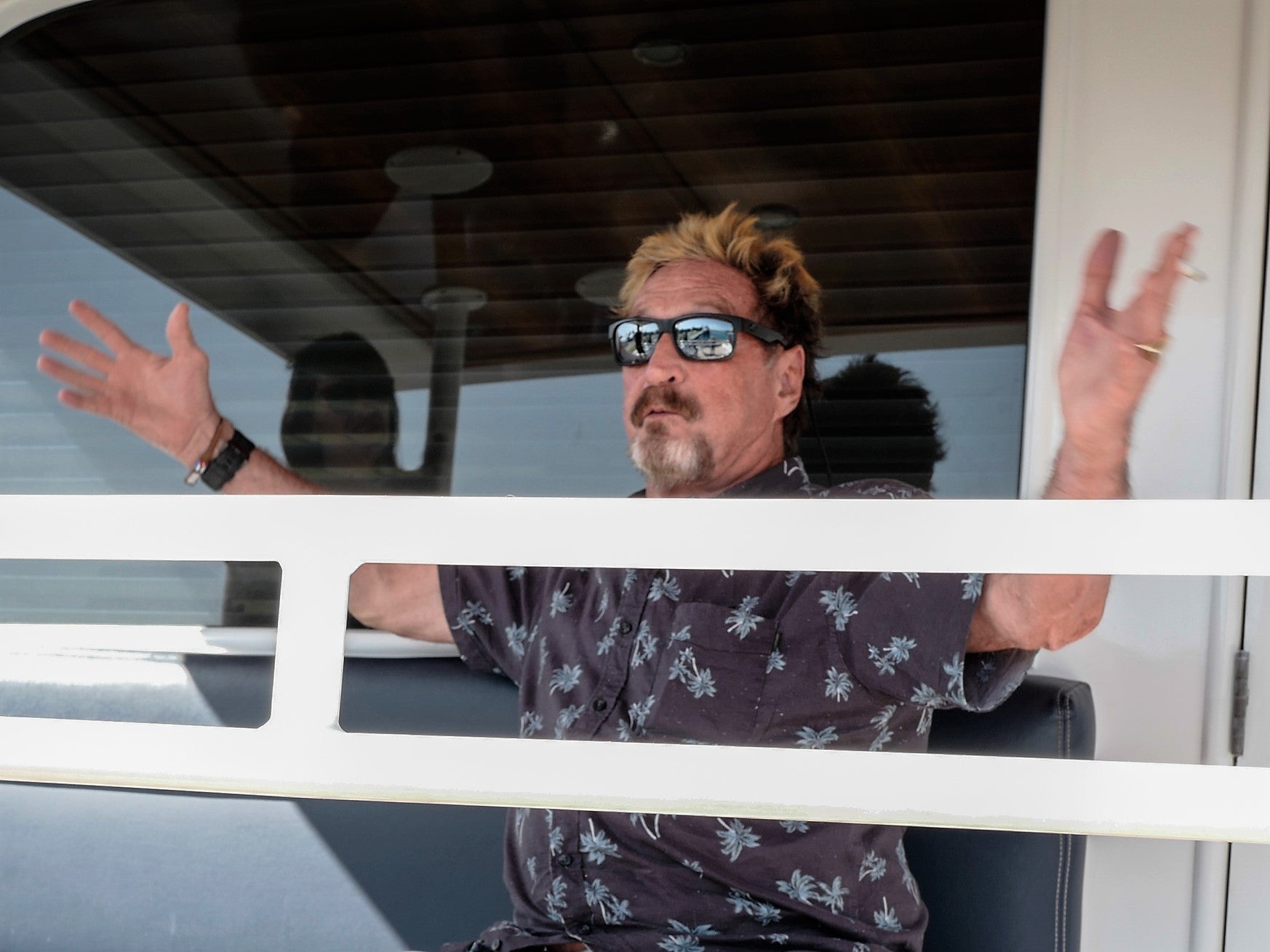 John McAfee