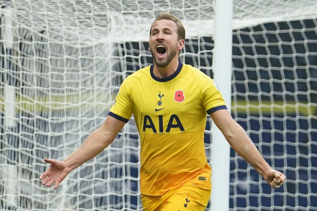 Harry Kane celebrates another winning goal