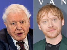 Rupert Grint beats Instagram record set by David Attenborough