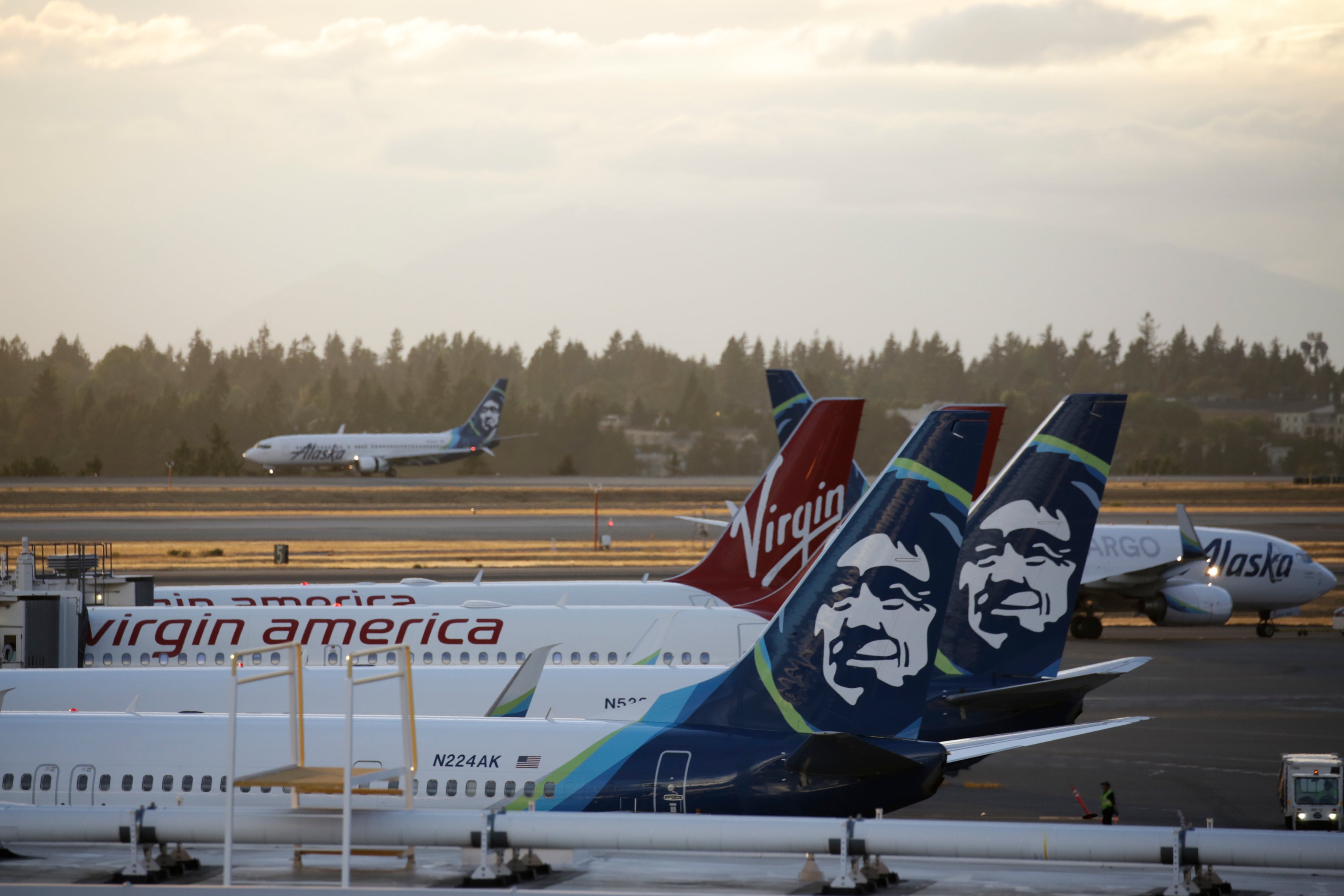 Two bears were seen walking on the runway, an adult and a cub