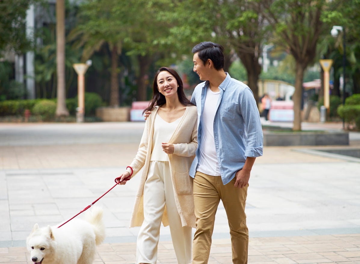 Chinese officials are reconsidering a ban on dog walking (stock image)