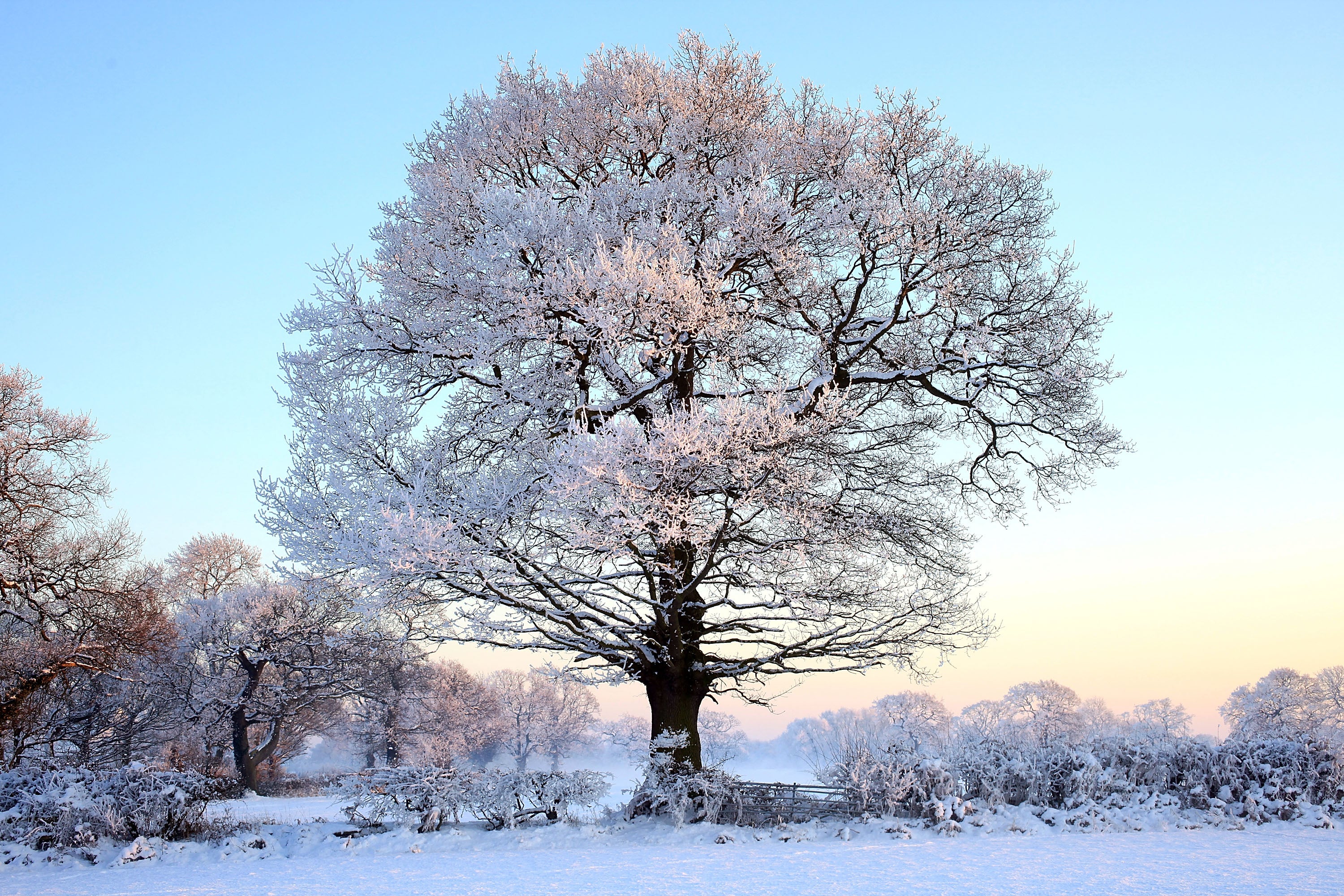 Frost in the UK