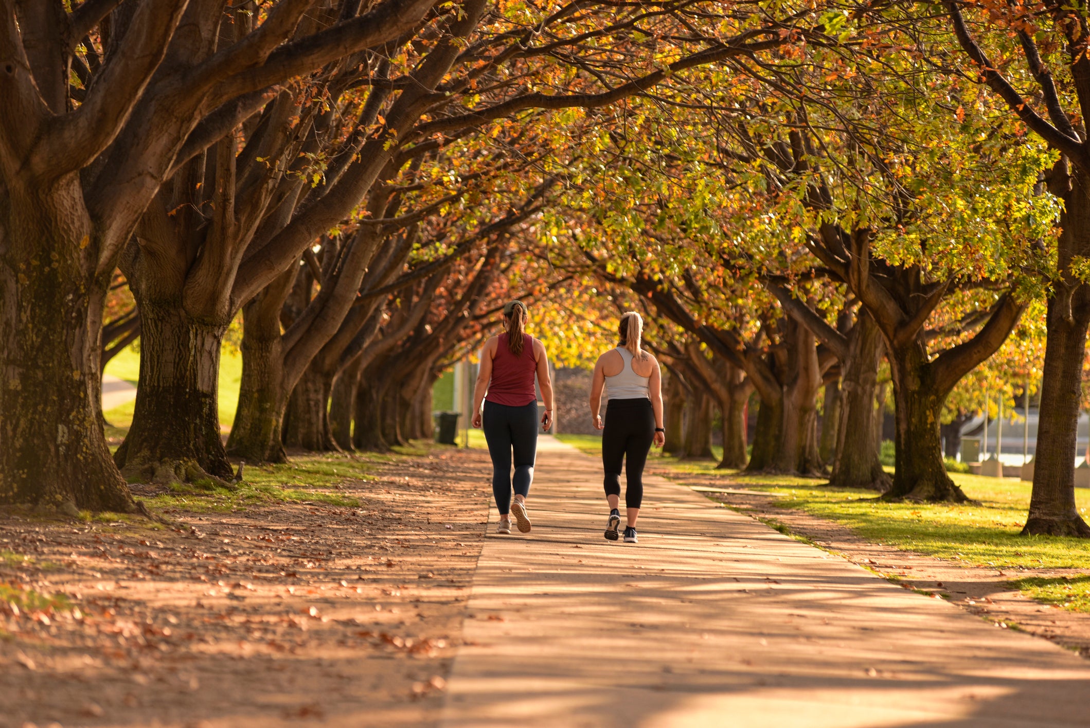 Physical therapists instruct some of their clients to reverse walk