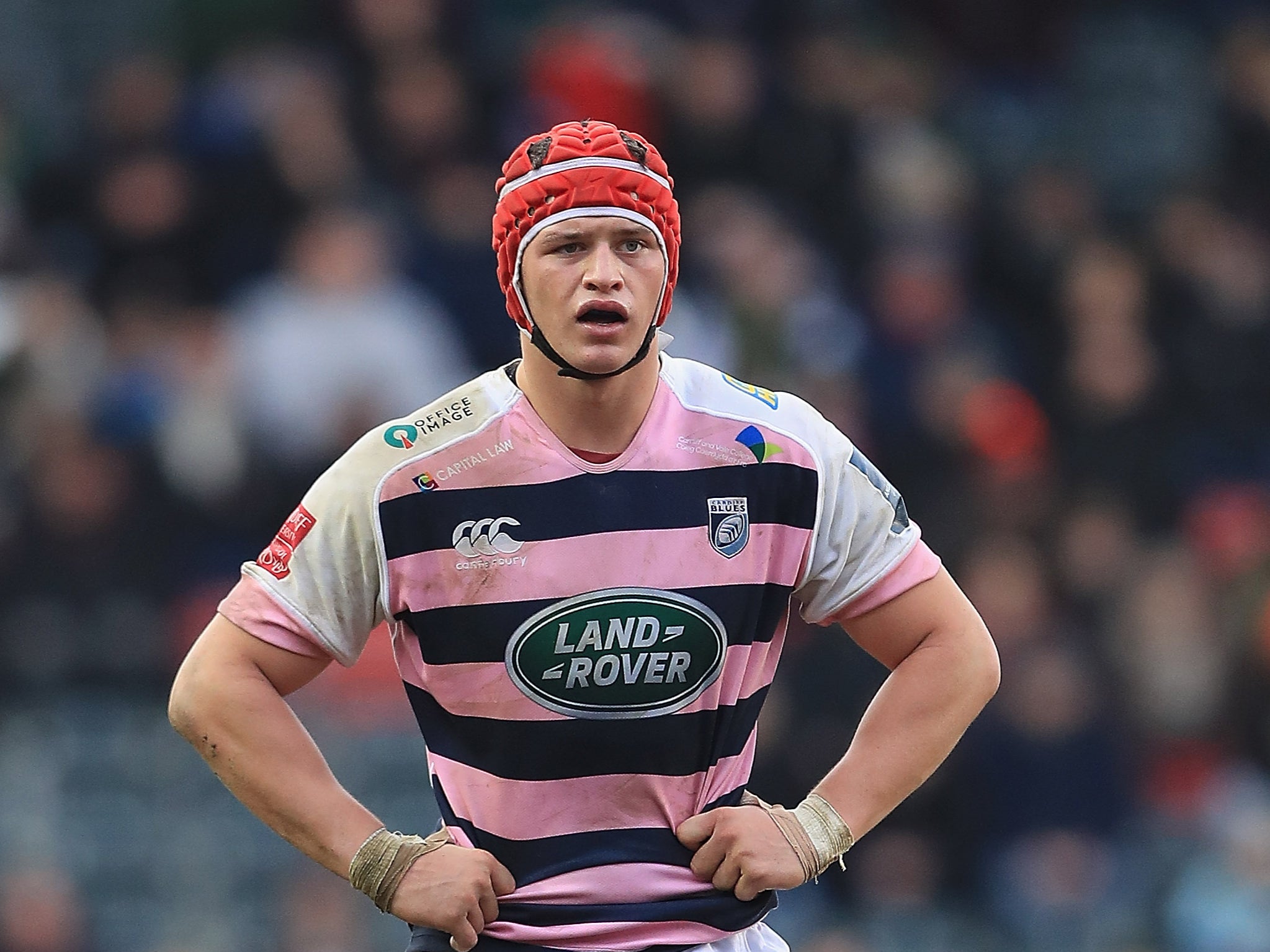 Pivac impressed by Botham’s grandson James ahead of Wales debut