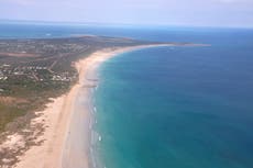 Man killed in shark attack in Western Australia state