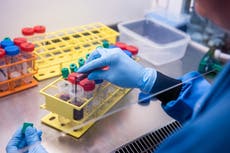 Why is the Oxford vaccine more effective at a lower dose?