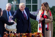 Trump once called out a Thanksgiving turkey that ‘refused to concede’ 