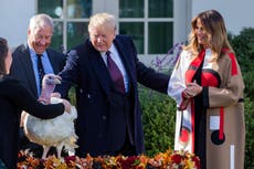 Three things to watch as Trump pardons final Thanksgiving turkeys