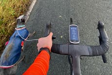 Olympic cyclist rescues dog using headphones for lead while on ride