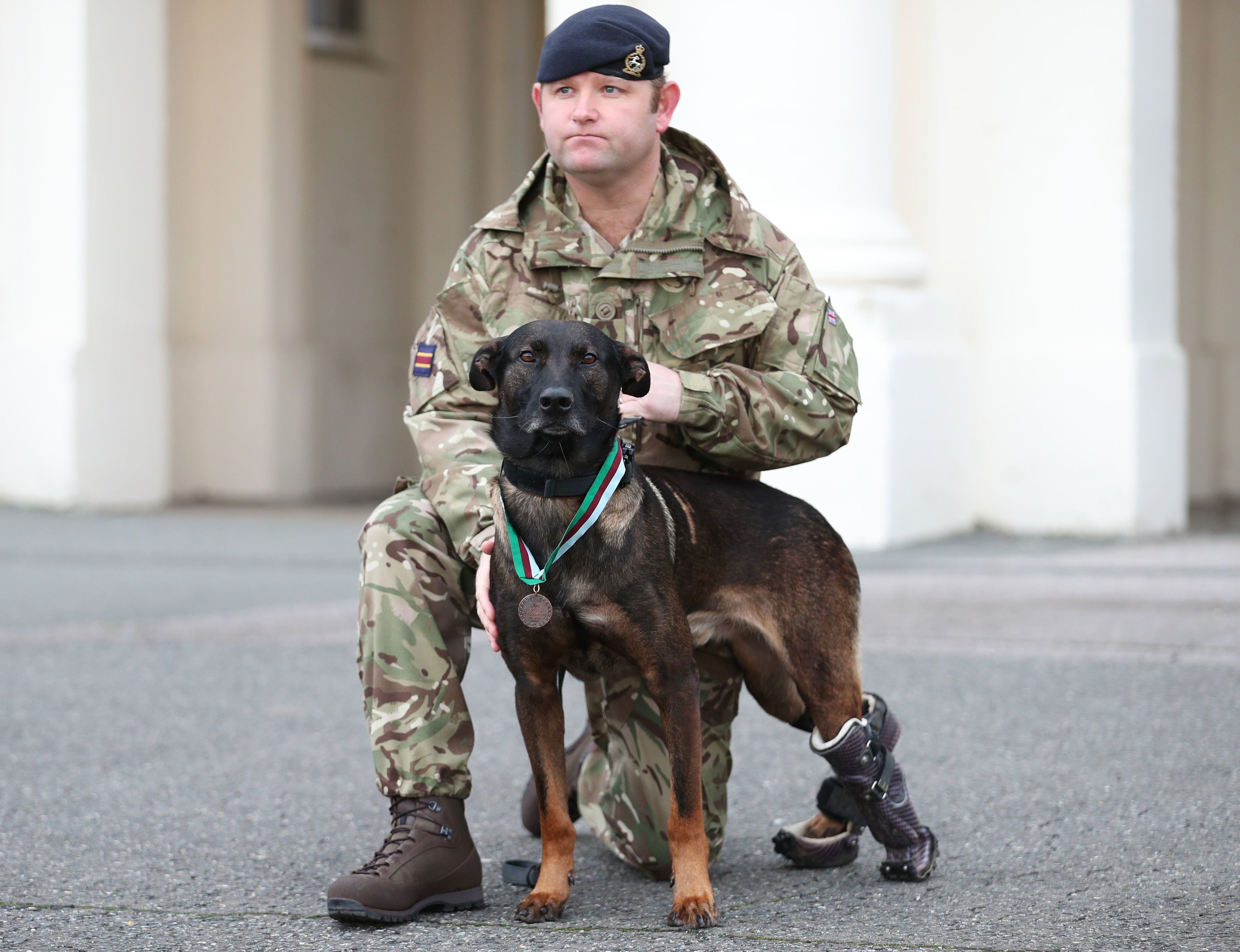 Kuno suffered bullet wounds to his back legs during the siege, leaving him in need of several operations and eventually the amputation of part of one paw.