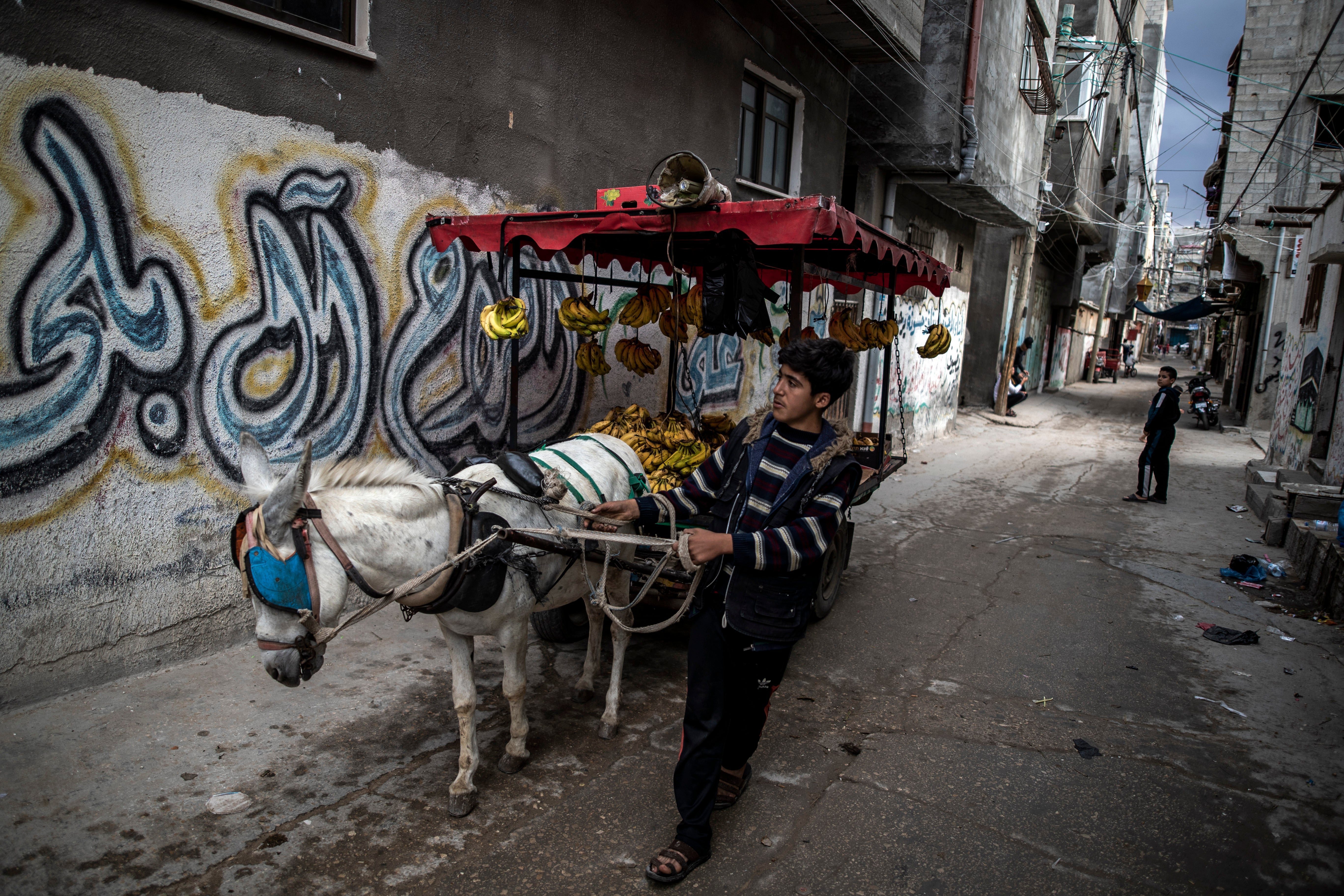 A Palestinian boy sells bananas on a donkey cart in an alley in the Shati refugee camp in Gaza City