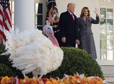 Amid the pandemic, Trump urges citizens to ‘gather’ for Thanksgiving