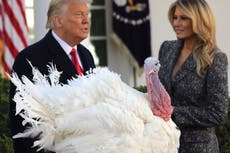 Trump ‘haemorrhaging’ Twitter followers in wake of election defeat