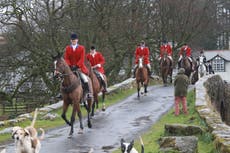 Trail-hunting suspended by two more of UK’s biggest landowners as police investigate webinars