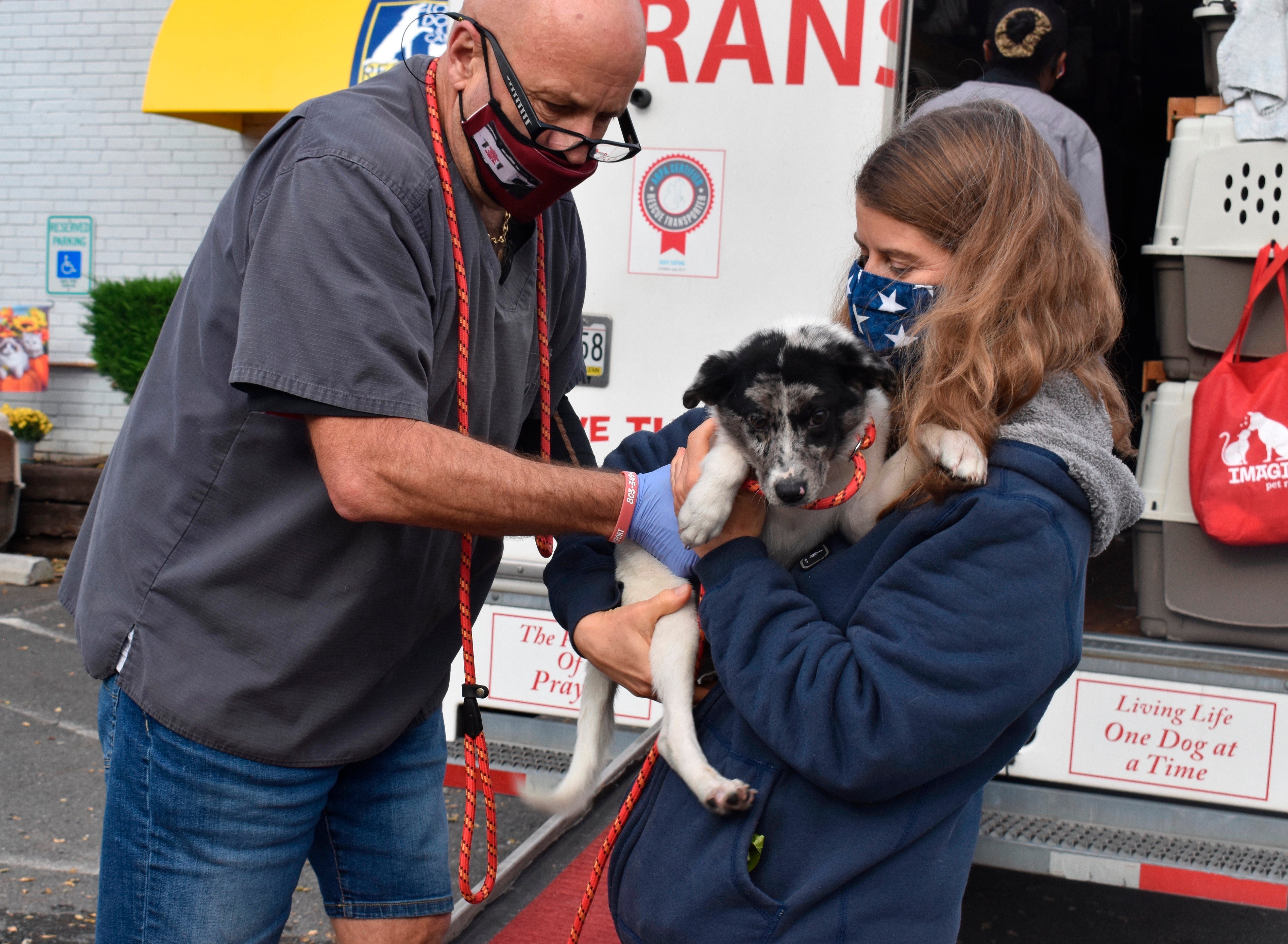 Rescued Dogs Airlift